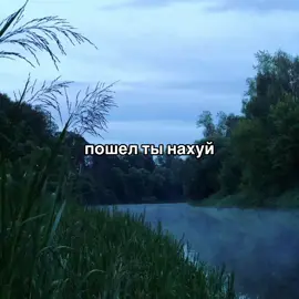 #цитаты #рекомендации #fypシ゚viral #глобальныерекомендации 