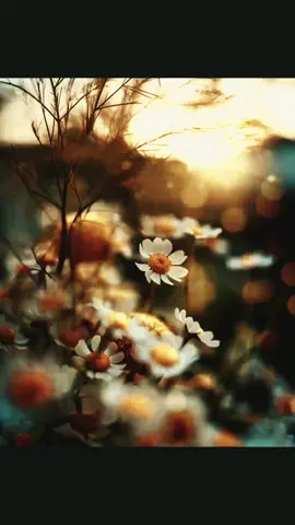 Todo fluye!✨🫶🏼 todo va pasar y todo va a estar bien!🙏🏼.                 #frecuenciaspositivas #frecuencias#vibras #manifesting #manifestando #goodvibes 