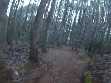 muy lindas las bajadas, aaaaah pero en subida 🙂