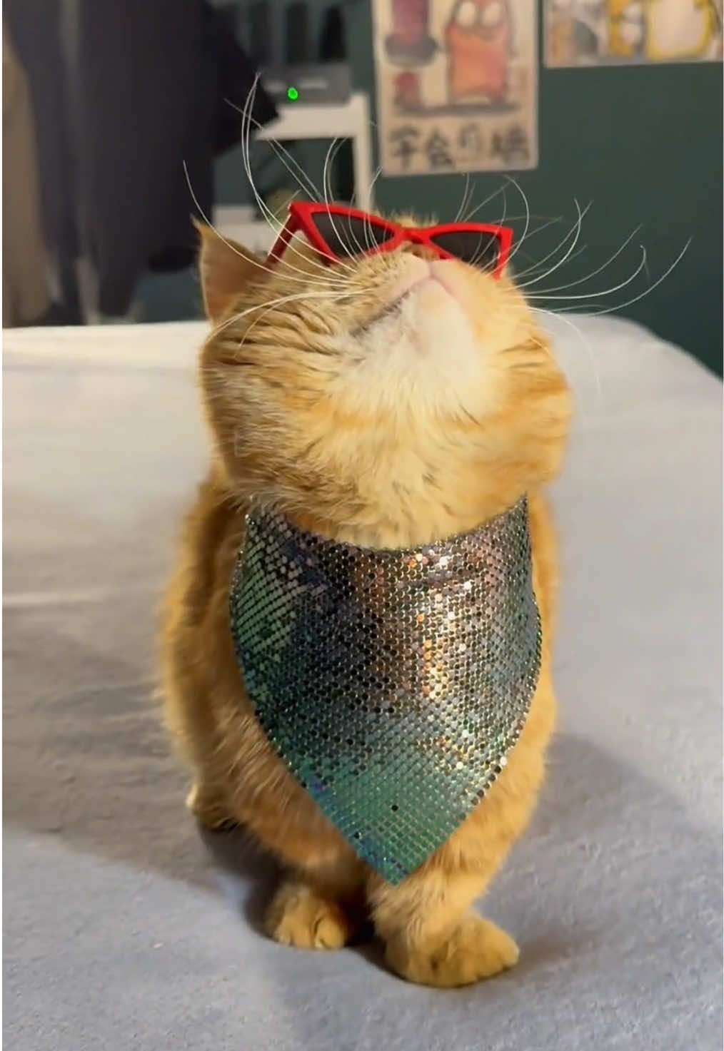 Green one💚 #cat #pet #catlover #cattok #cute #cathairstyle #petlover #fyp #cute