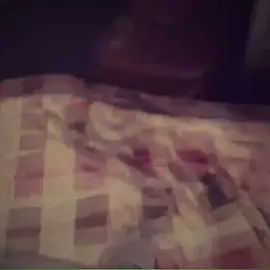 No me mires con esos ojos #vitacarnis #eldermimicvitacarnis 