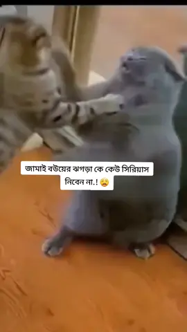 😁😁😄😄😛😛🙈🙈