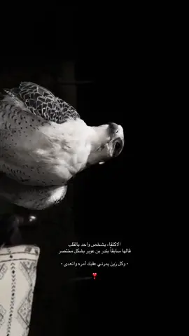 #بندر_بن_عوير #fyp #4u #ex #قصايد #explore #اكسبلورexplore #مالي_خلق_احط_هاشتاقات 