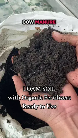 LOAM SOIL with Organic Fertilizers  Ready to Use from @Ledor Plant Buddies 🥰👍