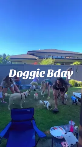 And yes we know this is white people ish🤣🐶🎂 