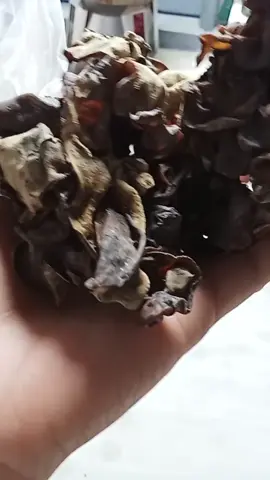 Nấm mèo khô 