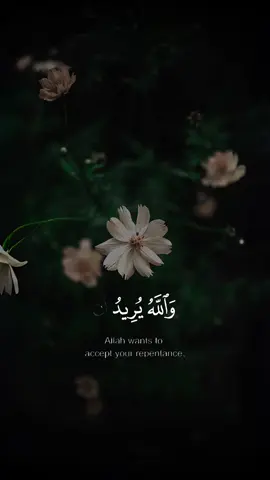 4النِّسَاءِAN-NISĀʼ  #سورة_النساء #أحمد_العجمي  #قوالب3assom93 #قالب_قرآن  #ترند_سهل_قوالب_قران_للحسنات_الجارية  #قوالب_قران_كريم #قران #القران #قران_كريم  #allah #quran #muslim  #quran_capcut_template 