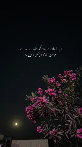 #fyp 