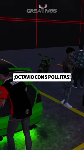 Any coquetea con octavio?? ¡No te pierdas esta conversación llena de risas y sorpresas!#Octavio #Risas #GTA #MomentosDivertidos #Pollitas #creativosrp #creativos #any #octavio #rdjavi