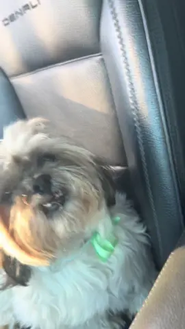 A donde vamos a parar Mateo cree que el mi hijo con más derechos que todos !! Ósea el mijitoooo de la casa ve nomas ! 😝😝😂