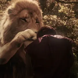 miauw // #peterpevensie #peterpevensieedit #princecaspian #princecaspianedit #narnia #narniatok 