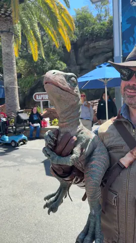 i almost believed it, guys🙄 #universalstudios #la #california #jurassicworld #jurassicpark #dinosaur #hollywood 