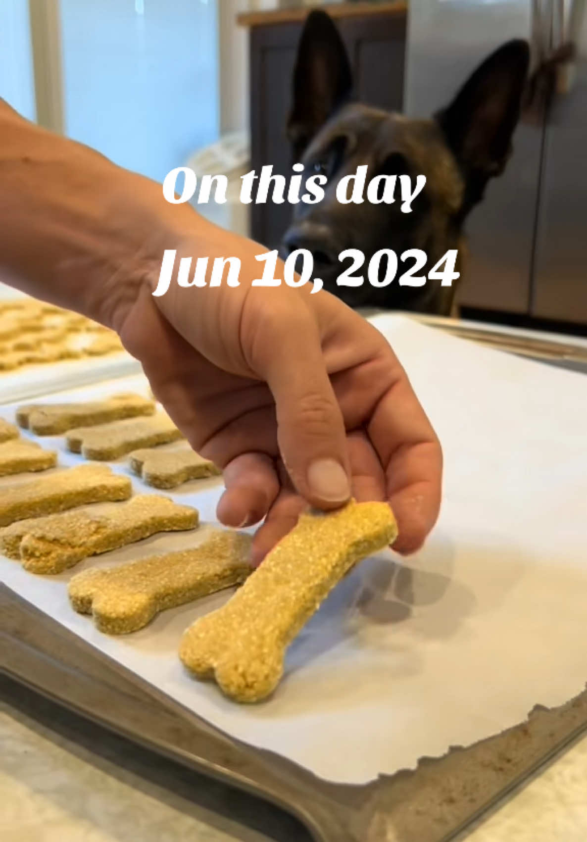 #onthisday We Need To Make These Again. I forgot about them. The dogs really liked these too! 