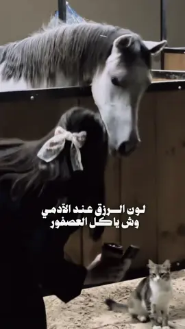 #CapCut #ماشاءالله_تبارك_الله_اذكروا_الله #اشتاقات_تيك #❤️😍❤️😍🌹🌷🌹🌷💯💯👍👍 