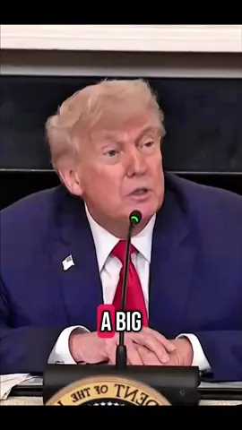 Reporters asked about the upcoming parade #donaldtrump #elonmusk #karolineleavitt2025 