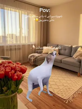 🙂.#r4sh0 #foryou #fyp #tiktok 