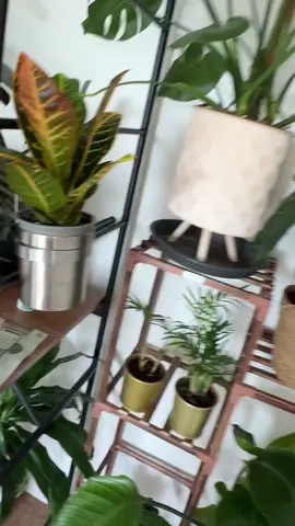 This is so good for a tenner. I’m gonna be labelling everything now 😂🙈