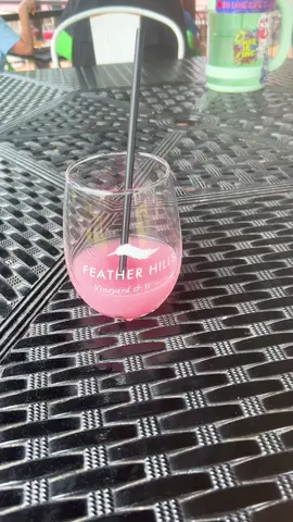It’s wine o’clock somewhere! #bachloretteparty #winery #featherhillsvineyard #southernillinoischeck 