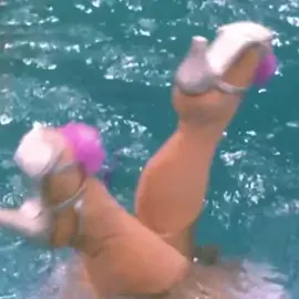 Miss piggy our aquamarine queen  #muppets #pig #swim #edit #aquamarine #swimming #pool #girls #addisonrae #Summer #themuppetshow #fun #edits #xyzbca #abcxyz #fyp #fypシ @Addison @The Muppets Mayhem 