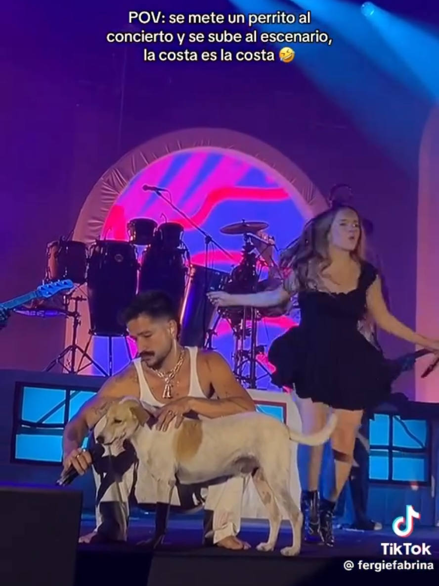EL PERRO FAN DE CAMILO🐶😍 Un perrito se subió al escenario en uno de los conciertos de @Camilo & Eva Luna en Barranquilla, Colombia y nos mató de ternura💘 