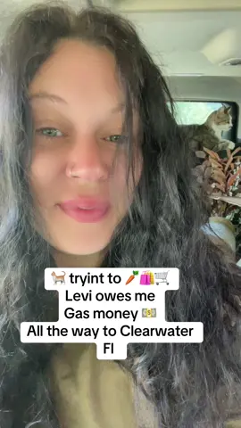 Advice don’t leave your windows down 🐈🥕🛒🛍️ #florida #instacart #personalshopper #gigwork #contentcreator #deliverylife #diamond #cat #sidehustle #instacartshopper #cat ##costco 