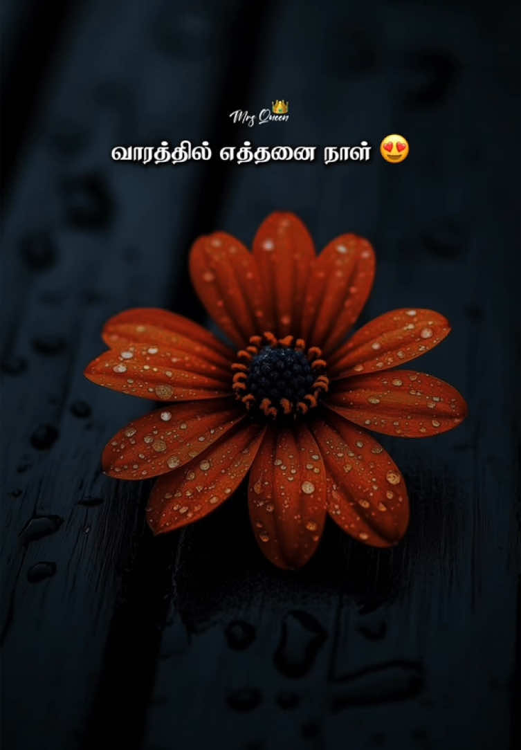 #vaarathilyettanainaalparpathu #lovesongtamil #loveyou #sollaponaalennaatkalai #sollaponaal🥹en♥️naatkalai #nensilmamazhai #lovesong #lovesongtamil #viralvideo #viraltiktok #video #tiktokindia #whatsappstatus #tamillovesong #fypage #songtamil #fyppppppppppppppppppppppp #fypシ゚ 