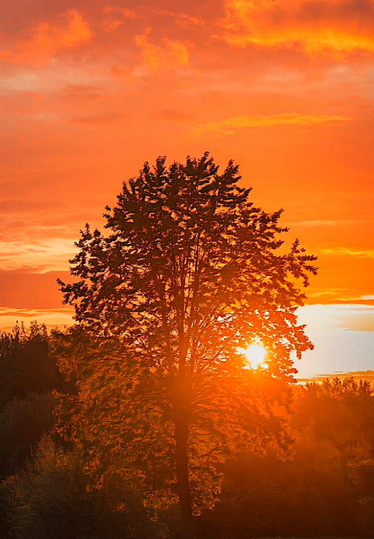 Sunset paints the world orange #fyp #foru #foruyou #beautiful #positivevibes #feelinggood #beautifuldestinations #mood #moody #aesthetics #aestheticvideos #relax #relaxing #relaxation