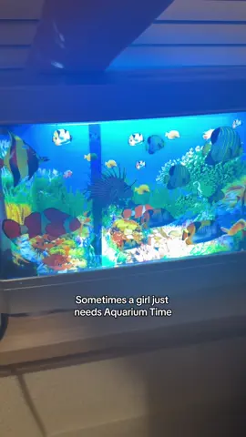 I’m gonna be so real, running a small biz keeps me STRESSED so this is my coping mechanism 😭 the innate urge to be a mermaid 😔💔 #aquarium #frutigeraero #aquatic #calmingvibes #StressRelief #SelfCare #aquariumtime #mermaid #lighting 