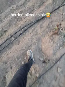 neler ektim neler😂 #pancar #ekin #sulamasistemi #keşfetteyizzz #fyp #viral #aksaray68 