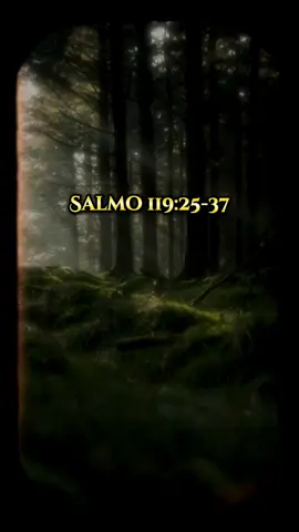 Levantame y viviré ☝️❤️‍🔥 - Salmo 119:25-37 #labiblia #lecturapublicadelabiblia #labibliadice #labibliaentiktok #labiblia #biblyfaith #estadosunidos 