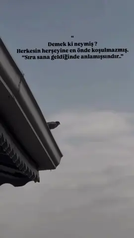 #zarifcepaylaşımlar 