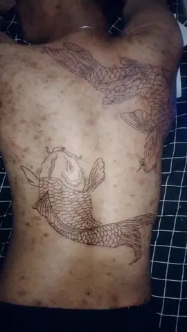 proses tatto full di punggung konsepnya satupasang ikan koi☺️ maaf masih BelajART🙏😎