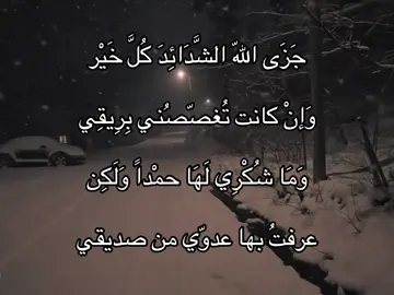 #فصحى #شعروقصايد #foryou #fyp #شعر #شعر_فصيح_شعر_عربي_فصيح #مالي_خلق_احط_هاشتاقات 
