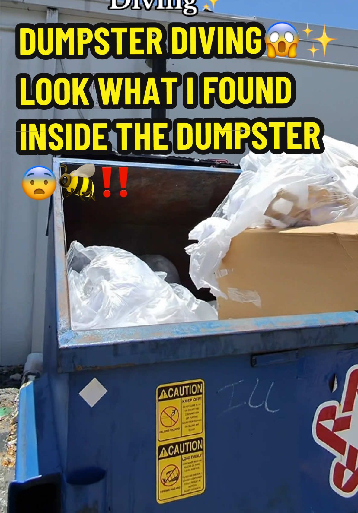 Went Dumpster Diving and found a mystery bag🥳✨‼️ also there was a huge wasp inside the dumpster😨🐝‼️i had to runnnnn😖 #meldidumpsterdive #dumpsterdive #dumpsterdiving #usa #homegoods #tjmaxx #tjmaxxfinds #dumpsterdiver 