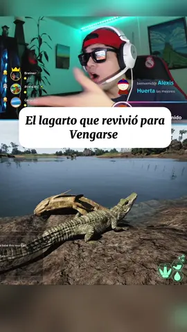 Resurgió como un ave fénix 🐦‍🔥        #theisle #theisleevrima #theislegame #dinosaurios #survivalgame #fyyp #crisslond 