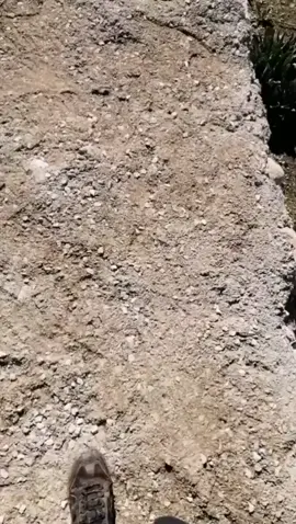 Qabriga cikrama binu abii jahal