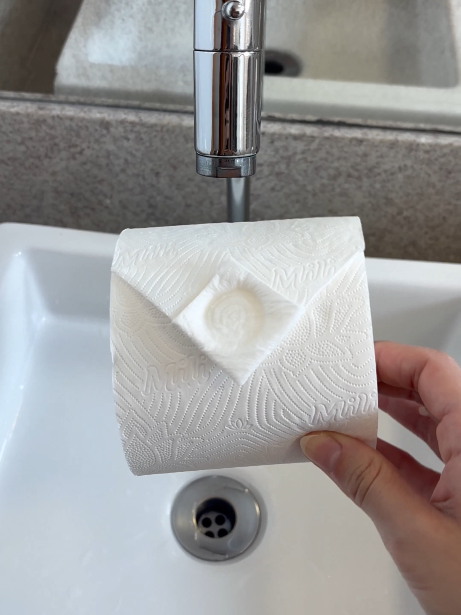 Dobradura no Papel Higiênico pra deixar seu BANHEIR0 CHIQUE! ✨ | DIY Toilet Paper Origami   -----  Fancy Toilet Paper Fold – Easy DIY Bathroom Decor Idea! 🧻   This TOILET PAPER FOLD will surprise you! 💫   #diycrafts #homehacks    .  .  .  #dobradurapapelhigienico #toiletpaperorigami #diydecor #dobrapapelhigienico #banheiro #banheirodecorado #decoracionbaño #bathroomdecor #papelhigienico