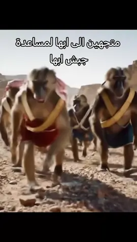 قرود الباحه #قرود #قرود_الباحه #شعب_الصيني_ماله_حل #world #الذكاء_الاصطناعي 