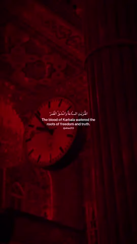 #karbala #كربلاء #عاشوراء #٣١٣ #شيعه #شيعه_الامام_علي #شيعة_علي #شيعه_الامام_علي_عليه_السلام #hussein #hassan #fatima #ehlibeyt #ehlisie📿🕋💚313🕋💚📿 #quran #quran_alkarim #abbas #kerbala #karbala_karbala #muharram #muharramstatus #محرم #محرم_عاشوراء #محرم_1443_ويبقى_الحسين #ziyarat #ziyarat_e_hussain 