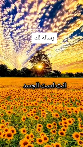 #رسالة_اليوم #tiktok_india #my #فيدوهات 