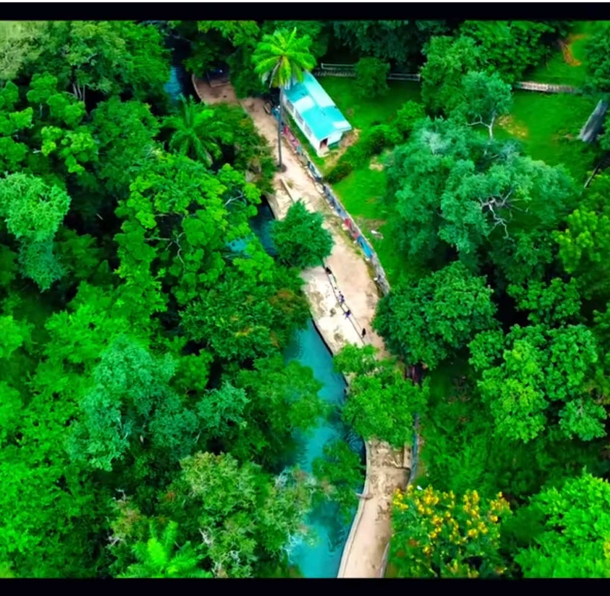 Wikki Warm Spring is the largest of the 4 warm springs in Yankari. It is a natural spa with constant temperature of 31.1°C through the year during both day & night, crystal clear & 13 meters wide, 2 meters deep perfect for a swim. There's more from the sky 🚀🚀 Available to travel ☎️07070555166 #capt.arico #travel #documentary #yankari #explorebauchi #explore #explorenigeria #traveldocumentary #hilightseveryonefollowers #highlightseveryonefollowers2025 #highlighteveryone