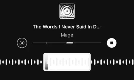 The Words I Never Said🗣️