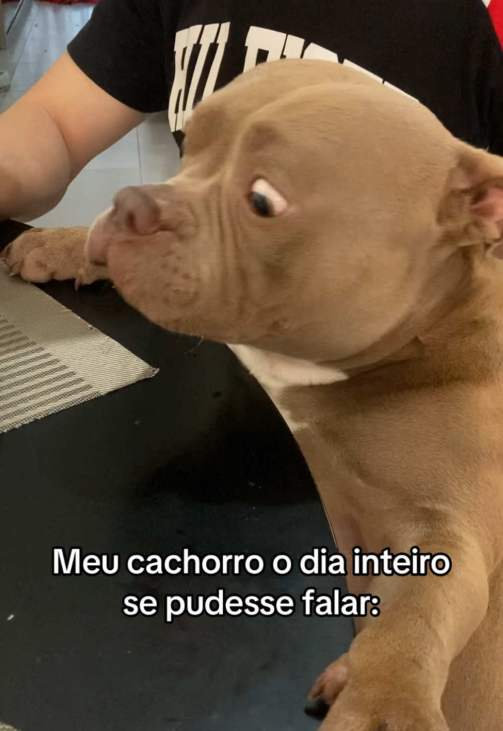 Tô com fome mamãe  #cachorro #humorpet #videodecachorro #cachorrosdotiktok 