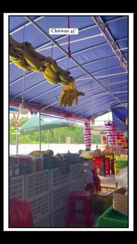 #hwattai badyo garmi#rishidhamala #fan#fyp#nepal