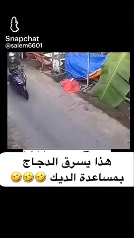 #🤣🤣🤣🤣🤣🤣🤣🤣🤣🤣🤣🤣🤣🤣🤣🤣 