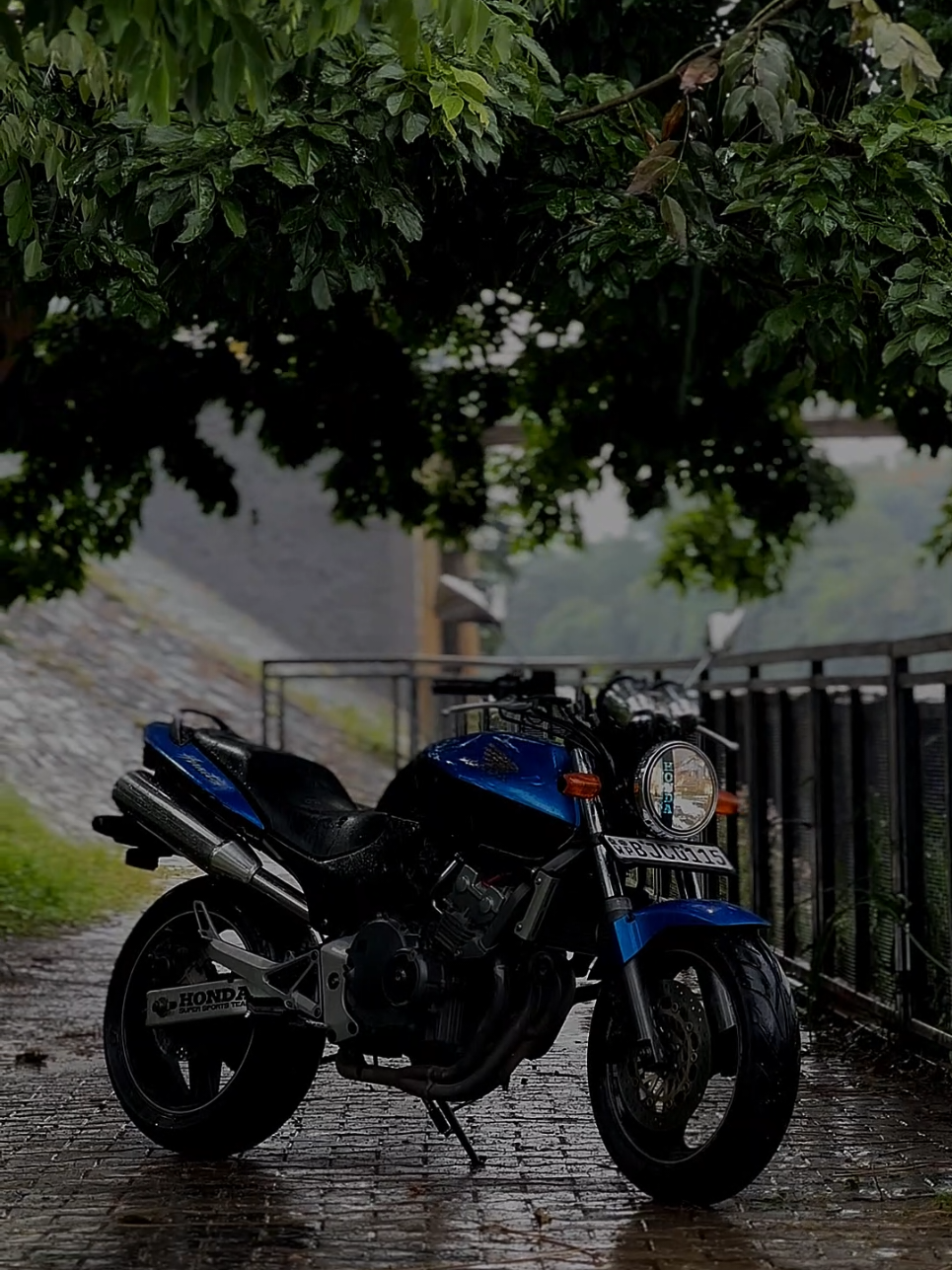 ඔය දාන්ගලේ ඉලංදාරි හිත් තවුස්සන 💐😊 #Hornet250 #CH150 #foryou #fypシ #viralvideo #bikevideo #motorcyclelife #bikelovers #bikegram #bikerlife #hondahornet250 #hornet250 #tiktokbiker#srilanka #srilankatiktok #srilankanriders #lankabikes #colombobikes #lankastyle #ceylonride #srilankaviral #sltiktok#explorepage #reels2025 #bikerreels #tiktokviral2025 #trendingvideo #motorbikelove #bikevibes #bikelife🔛