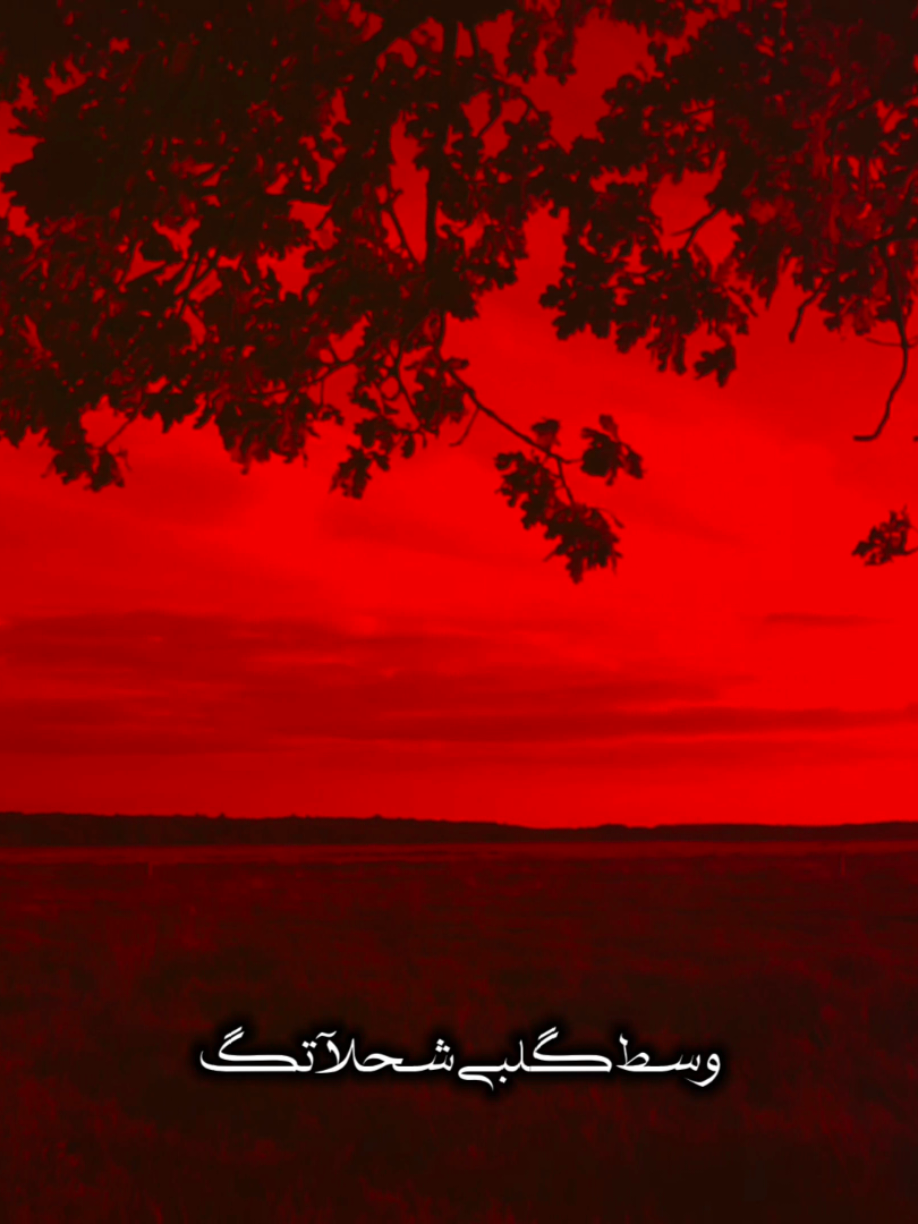 وسط كلبي شحلاتك 🤎🌿               #ضع_سماعتك🎧 #قصائد_حسينه #الحسين_عليه_السلام  #اكسبلوررر  #fyp 