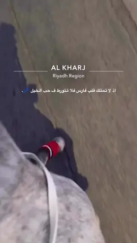 #اكسبلور #الخرج #الخيل #ترند #tiktok 