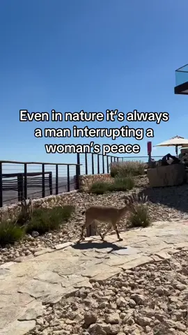 #nature 
