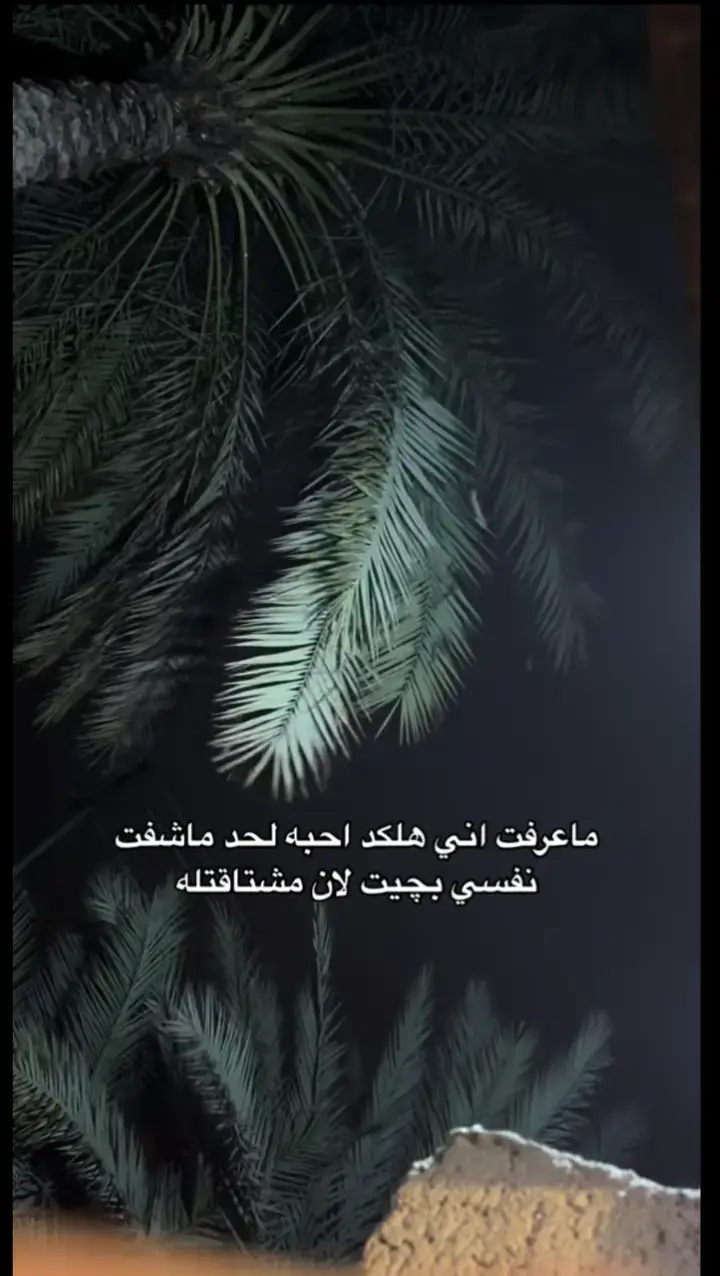 #يارب #اكسبلور 